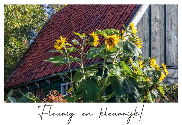 Fleurig En Kleurrijk!